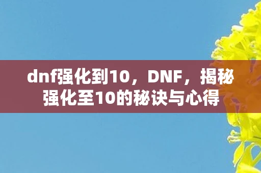dnf强化到10，DNF，揭秘强化至10的秘诀与心得
