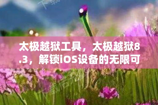 太极越狱工具，太极越狱8.3，解锁iOS设备的无限可能