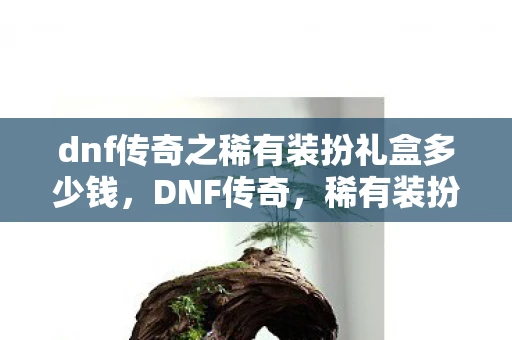 dnf传奇之稀有装扮礼盒多少钱，DNF传奇，稀有装扮礼盒的奥秘
