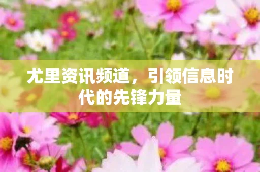 引领信息时代的先锋力量图片