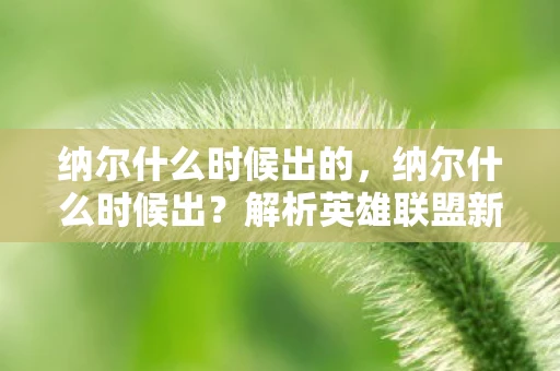 纳尔什么时候出的，纳尔什么时候出？解析英雄联盟新英雄发布时间