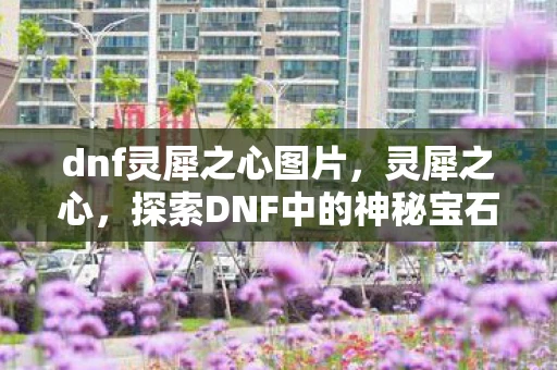 dnf灵犀之心图片,灵犀之心,探索DNF中的神秘宝石 dnf灵犀之心图片,灵犀之心,探索DNF中的神秘宝石
