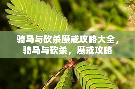 骑马与砍杀魔戒攻略大全，骑马与砍杀，魔戒攻略