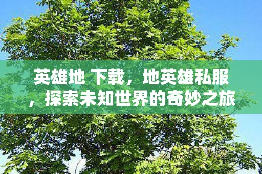 英雄地 下载，地英雄私服，探索未知世界的奇妙之旅