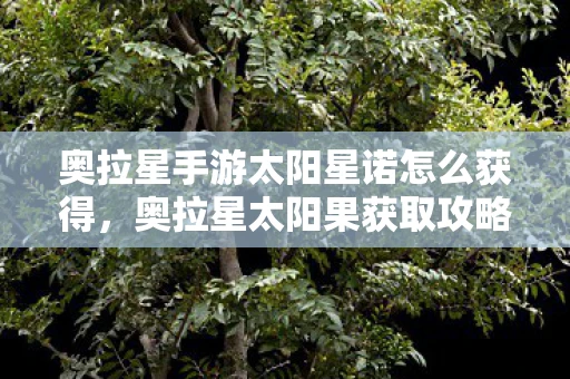 奥拉星手游太阳星诺怎么获得，奥拉星太阳果获取攻略，解锁神秘果实，助力你的冒险之旅！