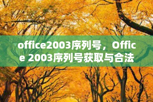 office2003序列号，Office 2003序列号获取与合法使用指南
