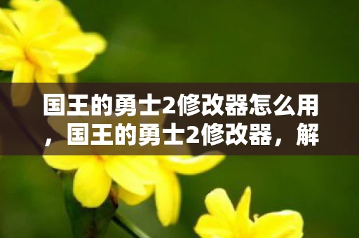 国王的勇士2修改器怎么用，国王的勇士2修改器，解锁无限可能的冒险之旅