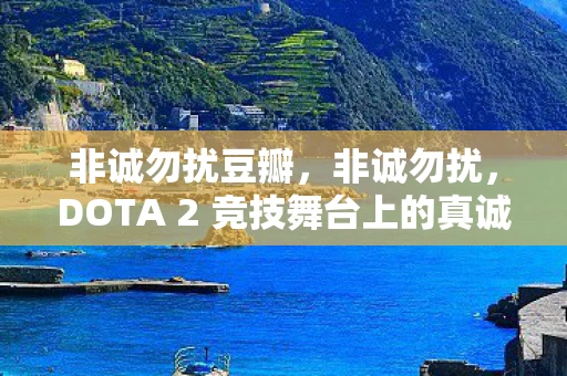 非诚勿扰豆瓣，非诚勿扰，DOTA 2 竞技舞台上的真诚与友谊