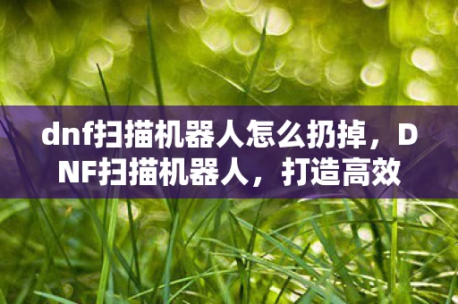 dnf扫描机器人怎么扔掉，DNF扫描机器人，打造高效、安全的自动化工具