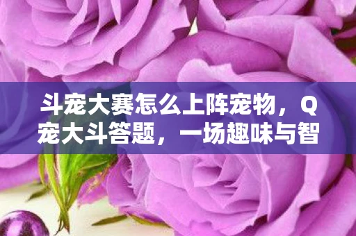 斗宠大赛怎么上阵宠物,Q宠大斗答题,一场趣味与智慧的碰撞 斗宠大赛怎么上阵宠物,Q宠大斗答题,一场趣味与智慧的碰撞