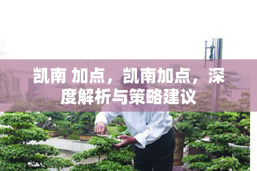 凯南 加点，凯南加点，深度解析与策略建议