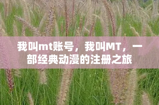 我叫mt账号，我叫MT，一部经典动漫的注册之旅