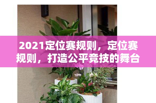 2021定位赛规则，定位赛规则，打造公平竞技的舞台