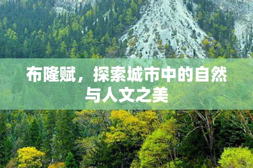 布隆赋，探索城市中的自然与人文之美