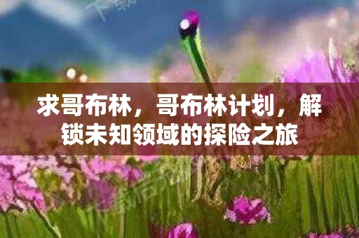 求哥布林，哥布林计划，解锁未知领域的探险之旅