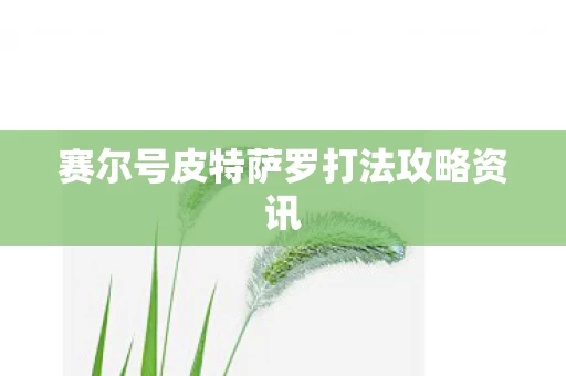 赛尔号皮特萨罗打法攻略资讯图片