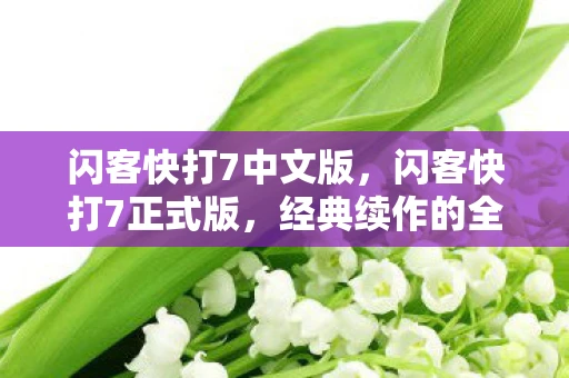 闪客快打7中文版，闪客快打7正式版，经典续作的全新挑战