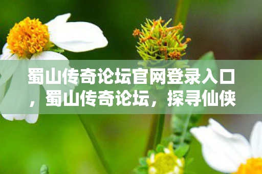 蜀山传奇论坛官网登录入口,蜀山传奇论坛,探寻仙侠世界的无尽奥秘 蜀山传奇论坛官网登录入口,蜀山传奇论坛,探寻仙侠世界的无尽奥秘