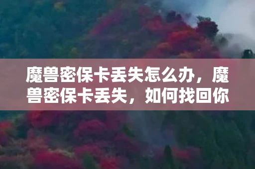 魔兽密保卡丢失怎么办，魔兽密保卡丢失，如何找回你的游戏账号安全