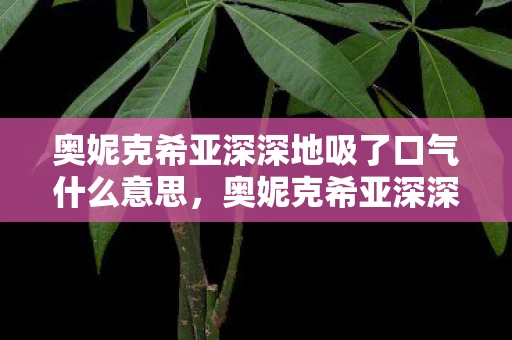 奥妮克希亚深深地吸了口气什么意思,奥妮克希亚深深地吸了一口气 奥妮克希亚深深地吸了口气什么意思,奥妮克希亚深深地吸了一口气