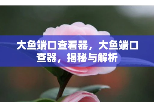大鱼端口查看器，大鱼端口查器，揭秘与解析