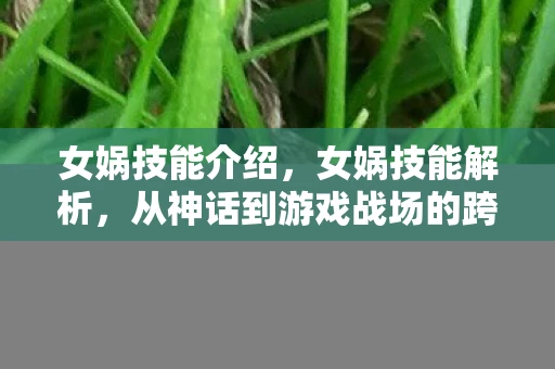 女娲技能介绍，女娲技能解析，从神话到游戏战场的跨越
