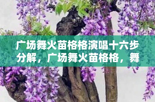 广场舞火苗格格演唱十六步分解，广场舞火苗格格，舞动生活的旋律