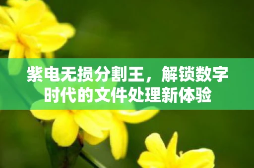 紫电无损分割王，解锁数字时代的文件处理新体验
