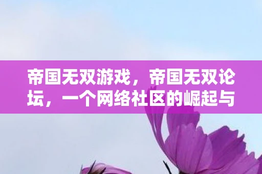 帝国无双游戏,帝国无双论坛,一个网络社区的崛起与变迁 帝国无双游戏,帝国无双论坛,一个网络社区的崛起与变迁