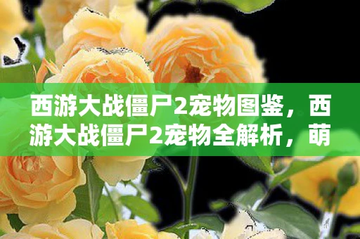 西游大战僵尸2宠物图鉴,西游大战僵尸2宠物全解析,萌宠助阵,共闯西游奇幻世界 西游大战僵尸2宠物图鉴,西游大战僵尸2宠物全解析,萌宠助阵,共闯西游奇幻世界