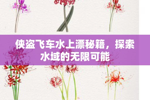 侠盗飞车水上漂秘籍图片