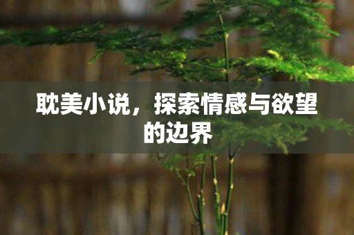 耽美小说，探索情感与欲望的边界