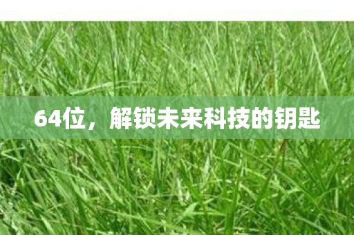 64位,解锁未来科技的钥匙 64位,解锁未来科技的钥匙