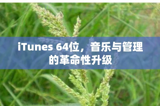 iTunes 64位,音乐与管理的革命性升级 iTunes 64位,音乐与管理的革命性升级