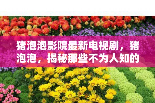 猪泡泡影院最新电视剧,猪泡泡,揭秘那些不为人知的猪界小秘密 猪泡泡影院最新电视剧,猪泡泡,揭秘那些不为人知的猪界小秘密