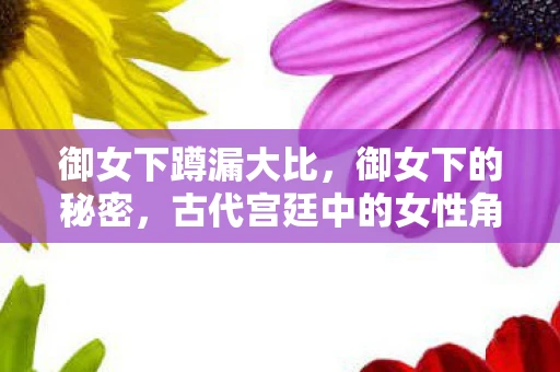 御女下蹲漏大比，御女下的秘密，古代宫廷中的女性角色与权力