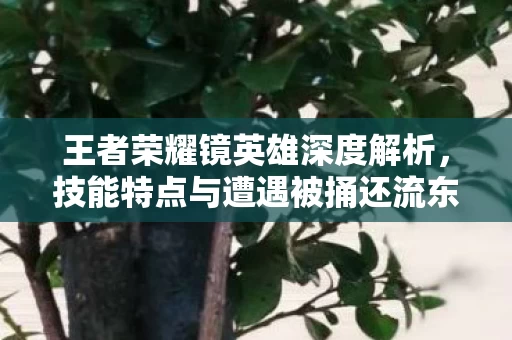 技能特点与遭遇被捅还流东西的探讨图片