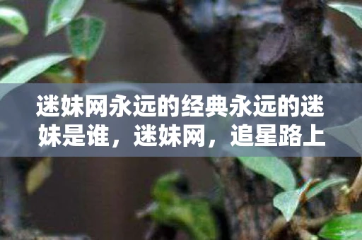 迷妹网永远的经典永远的迷妹是谁,迷妹网,追星路上的宝藏平台 迷妹网永远的经典永远的迷妹是谁,迷妹网,追星路上的宝藏平台