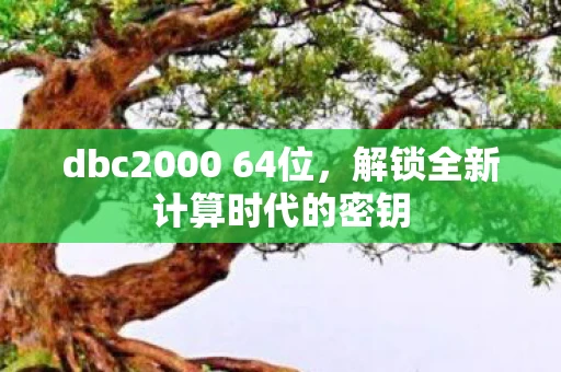 dbc2000 64位，解锁全新计算时代的密钥