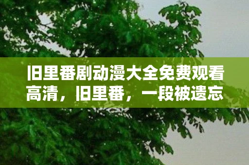 旧里番剧动漫大全免费观看高清，旧里番，一段被遗忘的历史
