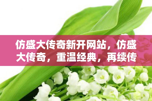 仿盛大传奇新开网站,仿盛大传奇,重温经典,再续传奇 仿盛大传奇新开网站,仿盛大传奇,重温经典,再续传奇