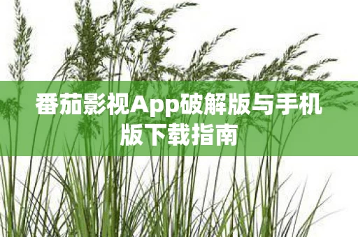 番茄影视App破解版与手机版下载指南图片