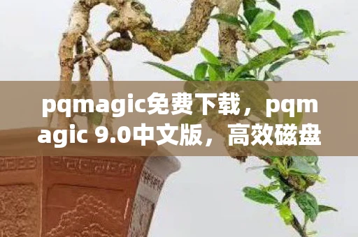 pqmagic免费下载,pqmagic 9.0中文版,高效磁盘管理工具,让数据管理与维护更轻松 pqmagic免费下载,pqmagic 9.0中文版,高效磁盘管理工具,让数据管理与维护更轻松