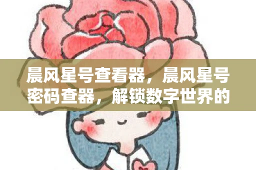 晨风星号查看器，晨风星号密码查器，解锁数字世界的钥匙
