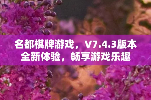 3版本全新体验图片