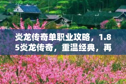 炎龙传奇单职业攻略,1.85炎龙传奇,重温经典,再燃激情 炎龙传奇单职业攻略,1.85炎龙传奇,重温经典,再燃激情