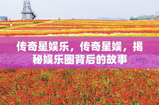 传奇星娱乐，传奇星娱，揭秘娱乐圈背后的故事