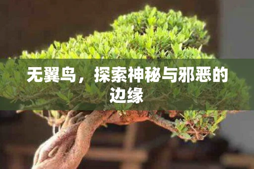 无翼鸟,探索神秘与邪恶的边缘 无翼鸟,探索神秘与邪恶的边缘