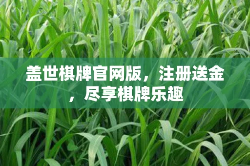 盖世棋牌官网版图片