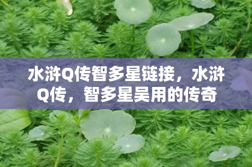 水浒Q传智多星链接，水浒Q传，智多星吴用的传奇